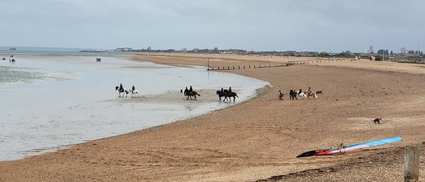 Hayling Island Horses