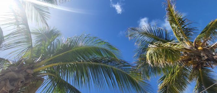 311 taxi Hayling island